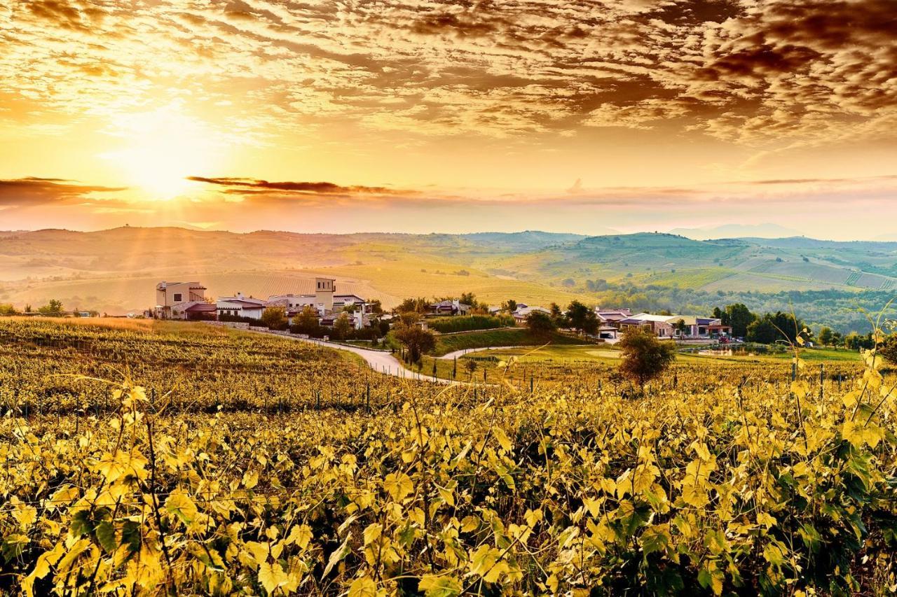 Zornitza Family Estate Relais & Chateaux 3*
