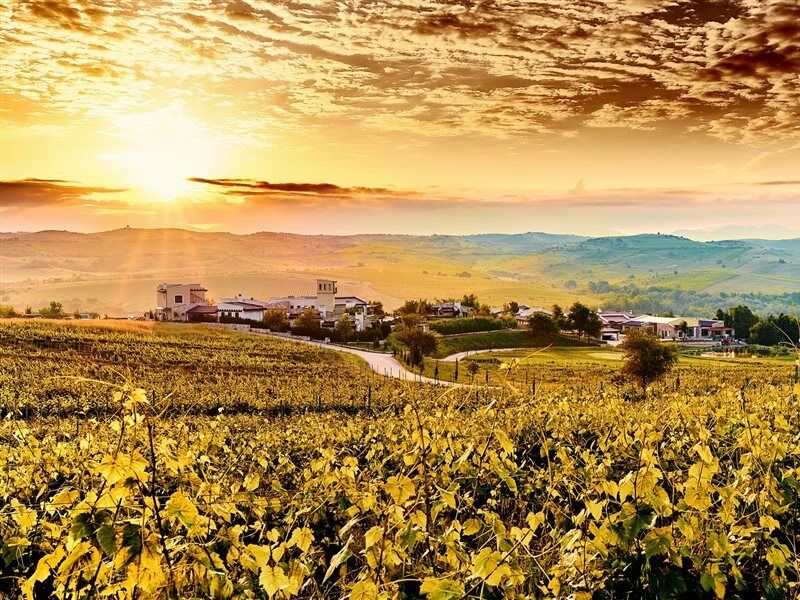 Resort Zornitza Family Estate Relais & Chateaux Melnik (Blagoevgrad)